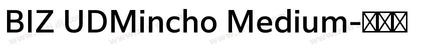 BIZ UDMincho Medium字体转换